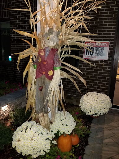 A charming autumn display featuring cornstalks, white mums, and pumpkins, perfect for the fall season.