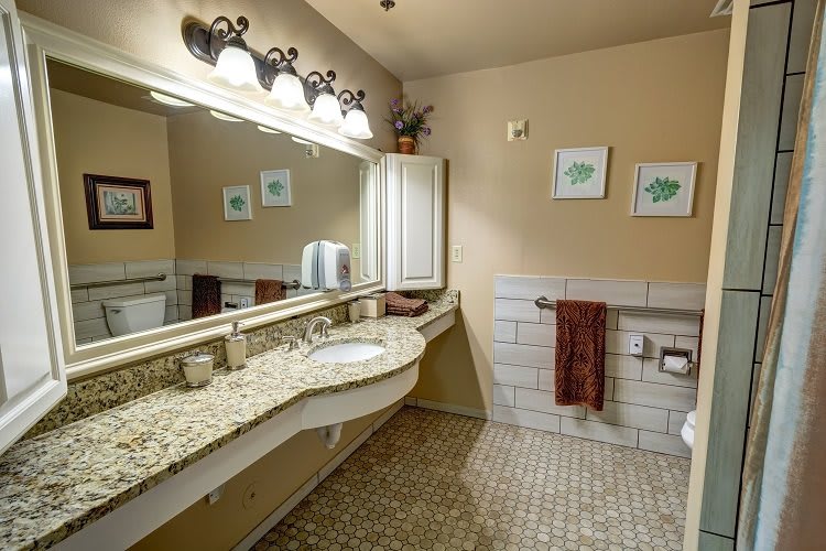 A well-lit bathroom featuring a granite countertop, large mirror, and decorative elements.