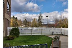 A serene park scene with a fenced area, lush green grass, and a cloudy sky.