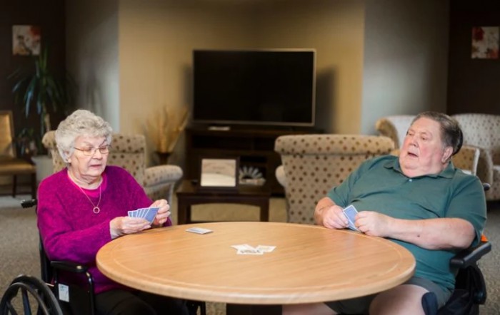 An elderly couple playing cards together in a cozy living room setting.