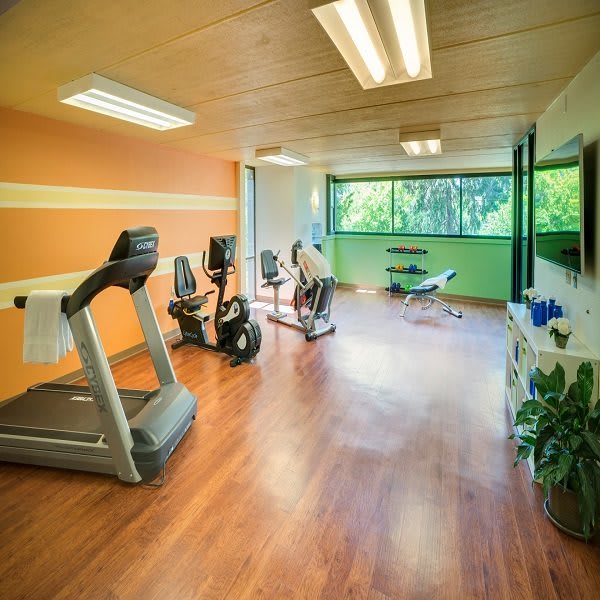A brightly lit home gym with exercise equipment and large windows overlooking greenery.