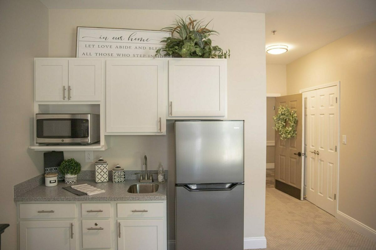 Modern kitchen interior with white cabinets, a fridge, and decorative plants.