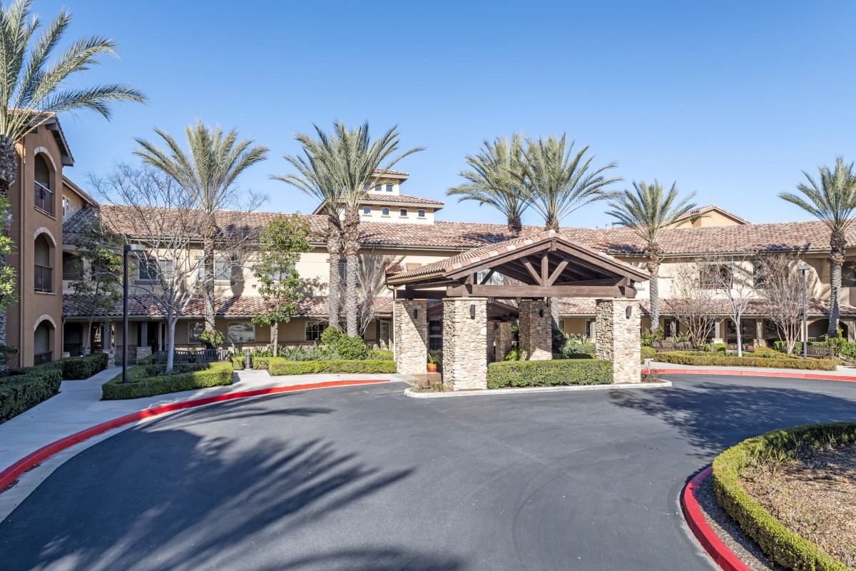 A sunny day view of a building entrance with palm trees and well-maintained landscaping.