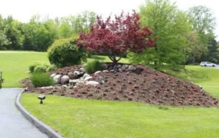 A landscaped garden with a tree, surrounded by rocks and mulch.