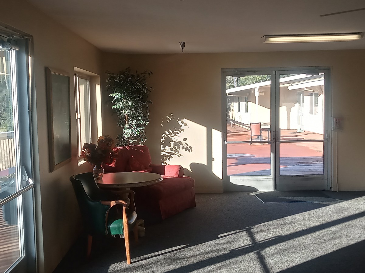 A cozy lobby area with sunlight streaming through the windows, featuring a red armchair, green chair, small table, and potted plant.