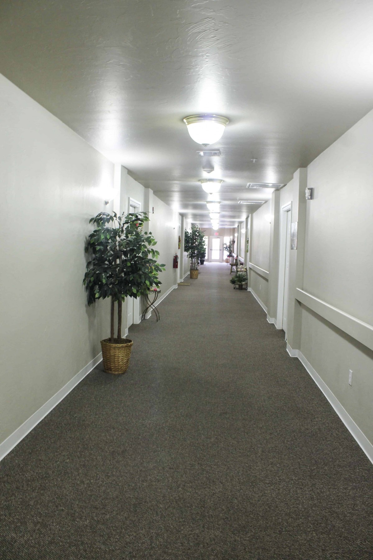 A long, well-lit hallway with carpeted flooring and potted plants along the walls.