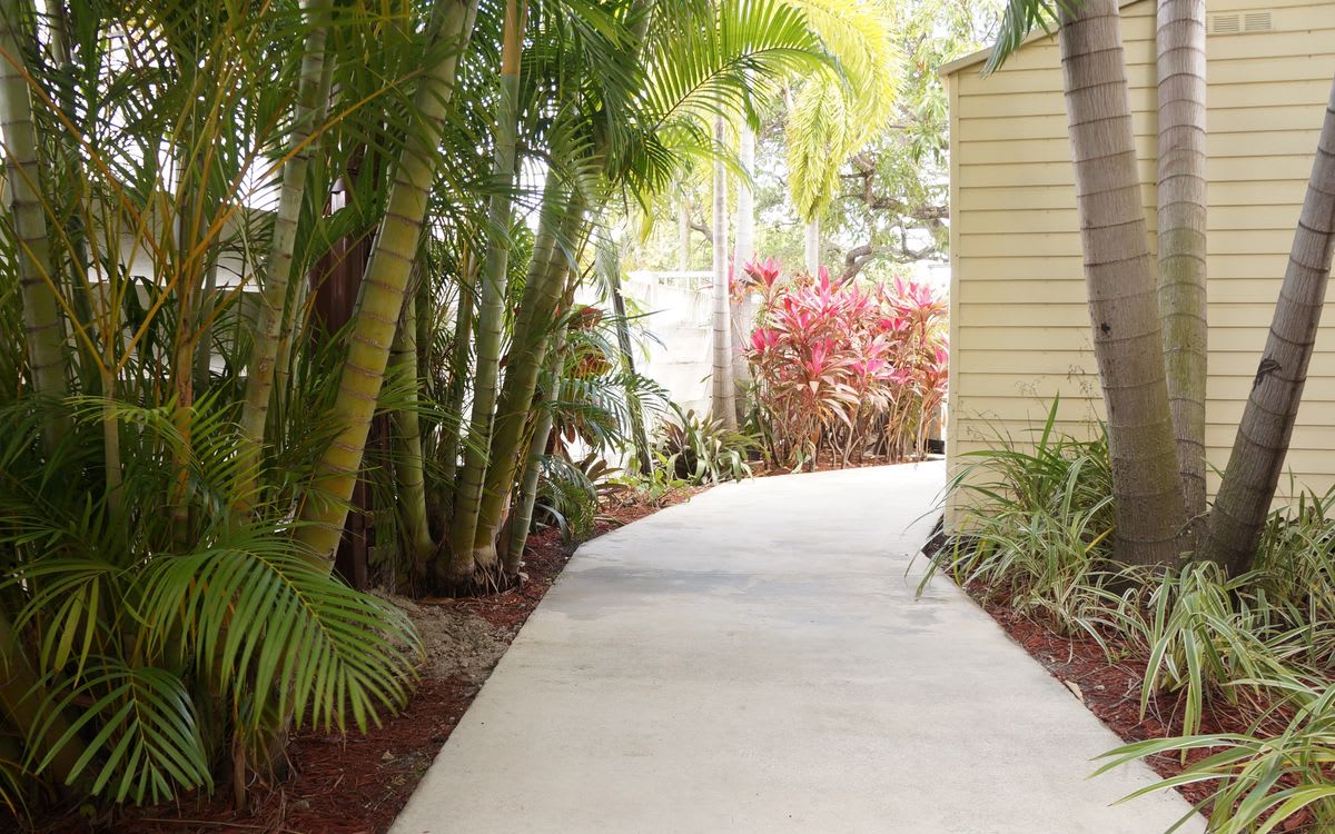 A concrete pathway surrounded by lush tropical plants and greenery.
