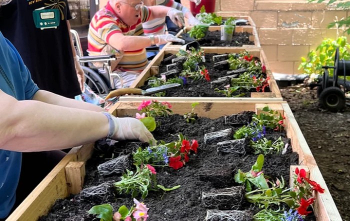 People engaging in a gardening activity with raised beds and various flowers.