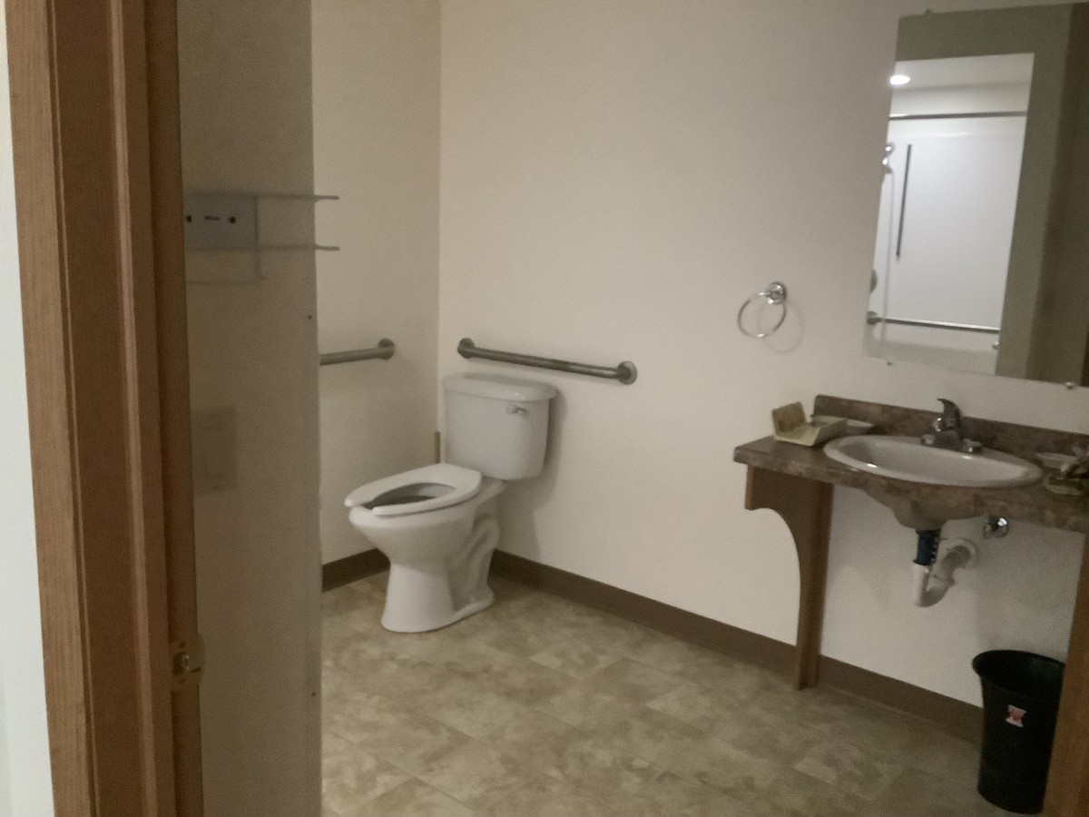 An accessible bathroom with a toilet, sink, mirror, and handrails.