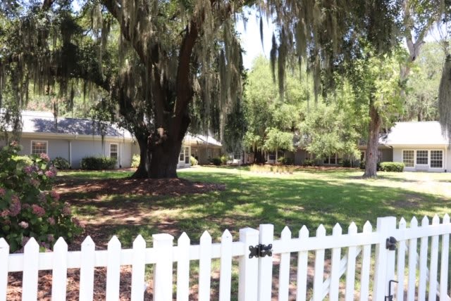 A peaceful yard with a white picket fence and a large tree on a sunny day.