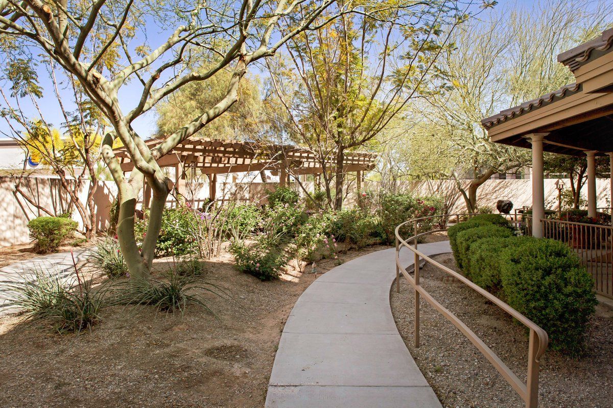 A winding pathway through a desert garden with trees and natural landscaping.