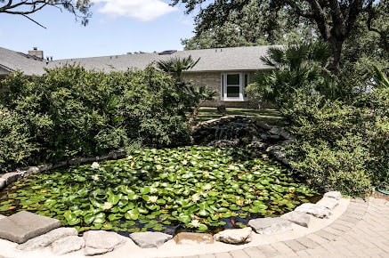 A serene garden pond with lily pads in front of a house surrounded by trees.