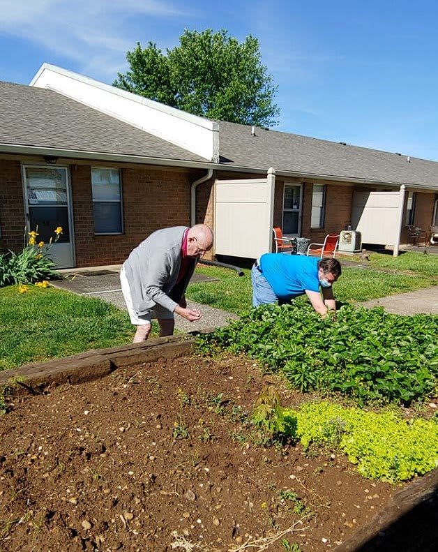 Two people tending to a garden in a residential area on a sunny day.