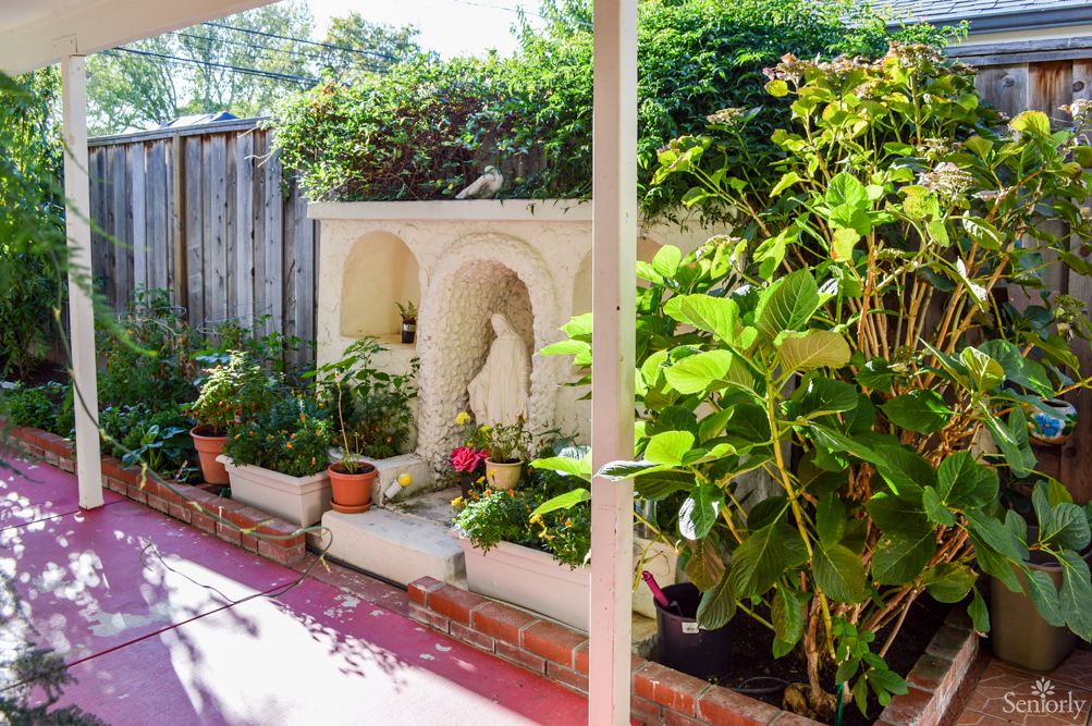 A sunny garden area with various potted plants and a small shrine.