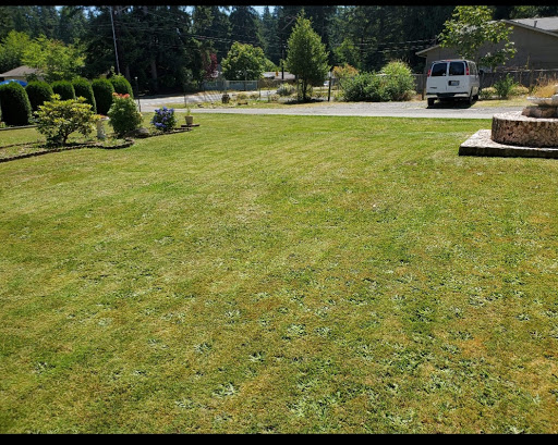 A well-maintained lawn with a vehicle parked nearby, surrounded by greenery.