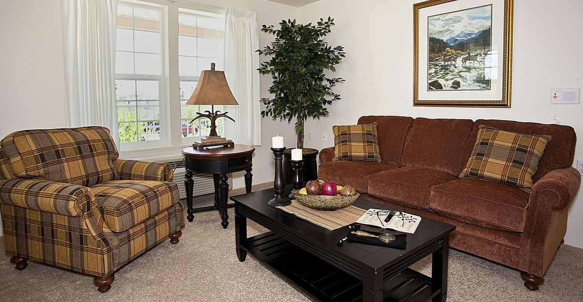 A cozy living room with a brown sofa, coffee table, and decorative elements.