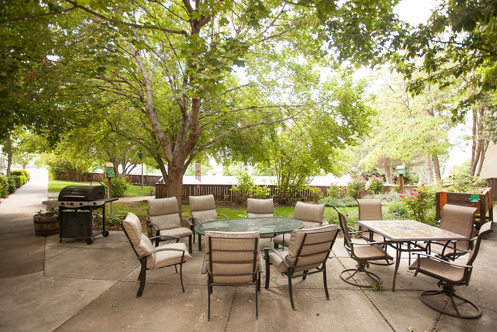 A peaceful outdoor patio with comfortable seating surrounded by lush greenery.