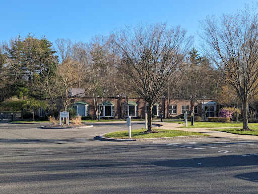 A serene view of a residential area featuring trees and buildings under a bright blue sky.