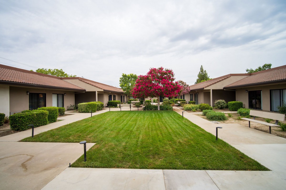 A peaceful courtyard with a grassy area surrounded by buildings and a prominent red tree in the center.
