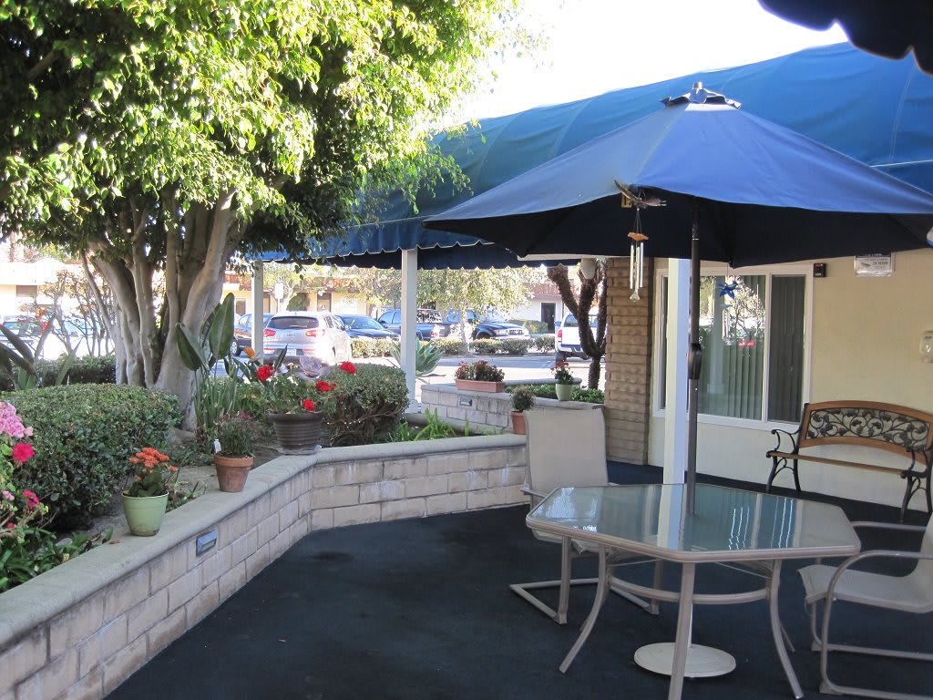 A sunny patio with a glass table, chairs, and an umbrella surrounded by a garden.