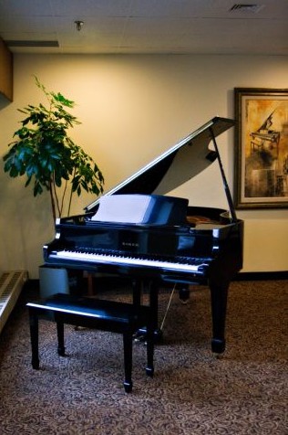 A grand piano in a cozy room with artwork and a potted plant.