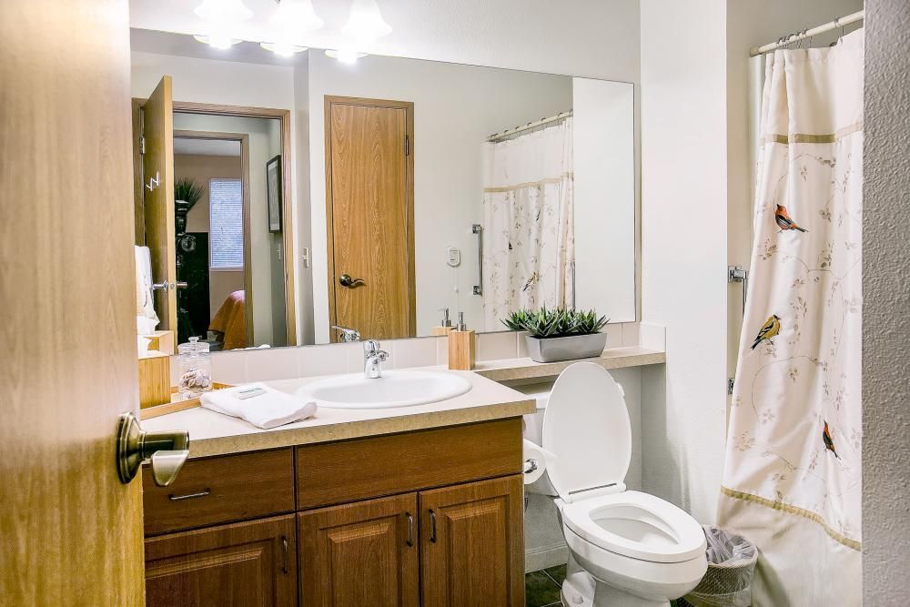 A clean and well-organized bathroom featuring a wooden cabinet, a toilet, and a large mirror.