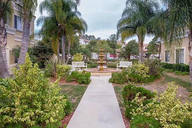 A tranquil garden with a pathway leading to a central fountain, surrounded by lush greenery and palm trees.