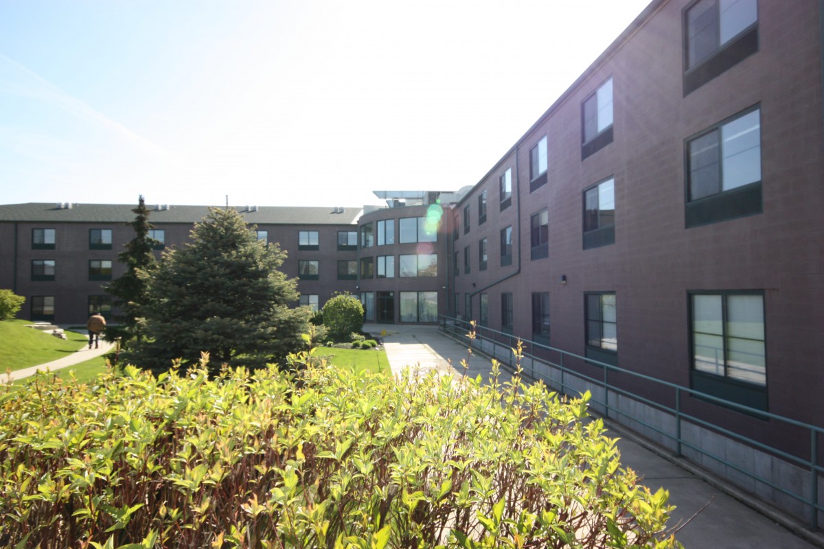 A sunny view of an apartment building exterior with surrounding greenery.