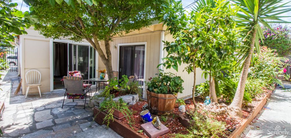 A cozy garden patio with lush plants and outdoor seating by the house.
