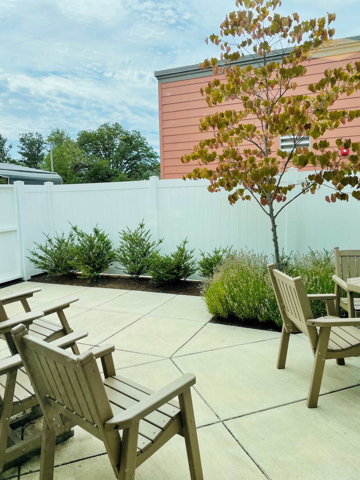 A peaceful patio area with wooden chairs, greenery, and a tree against a white fence.
