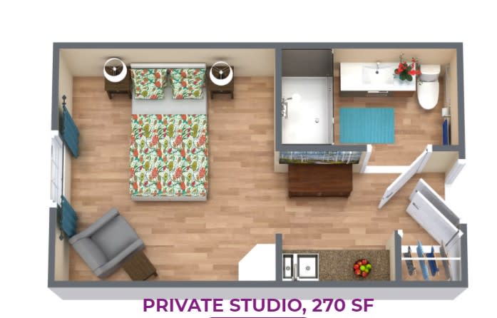 A floor plan of a private studio apartment measuring 270 square feet, featuring a bedroom, bathroom, and kitchen area.