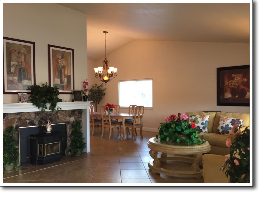 A cozy living room with a connected dining area, featuring a fireplace and indoor plants.