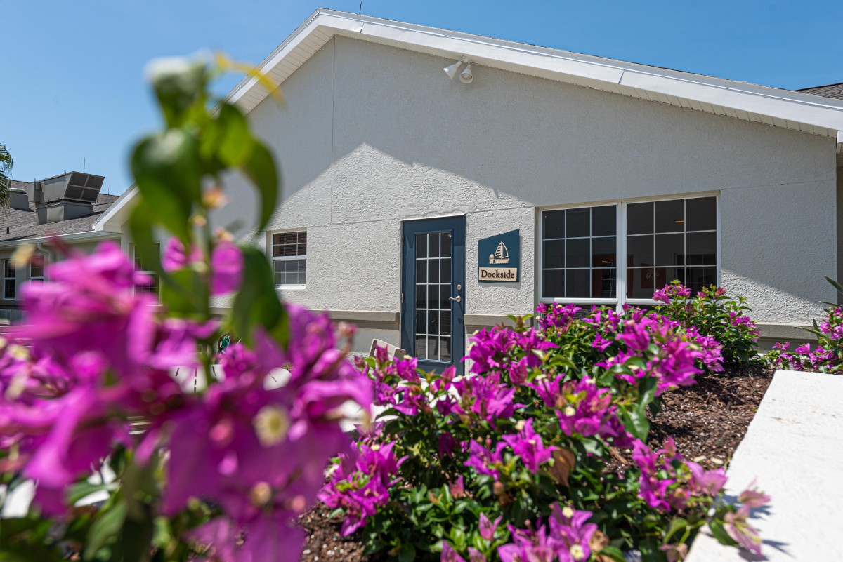 A sunny day at a building surrounded by vibrant purple flowers.