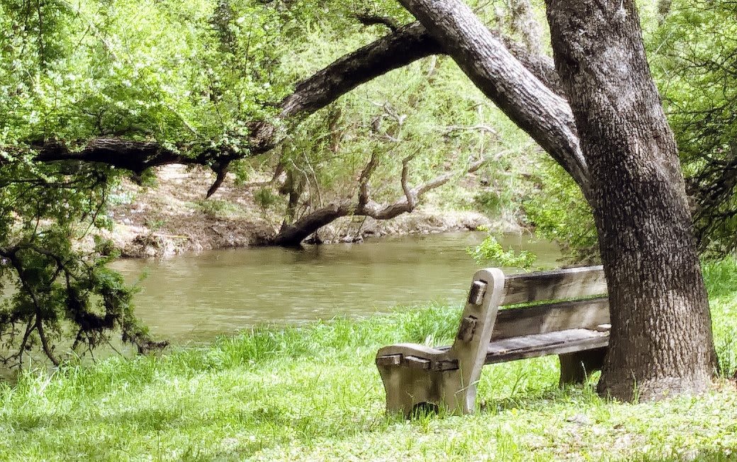 A peaceful park scene with a bench overlooking a quiet river surrounded by lush green trees.