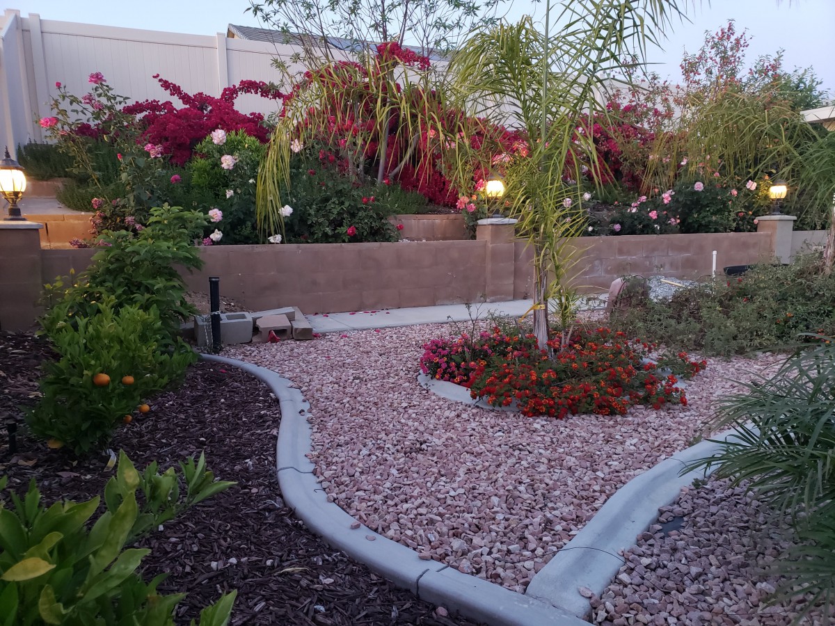 A beautifully landscaped garden with a palm tree, various flowers, and a rock-lined pathway.