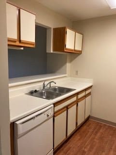 A simple kitchen with a sink, cabinets, and a dishwasher.