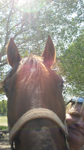 Country Ranch