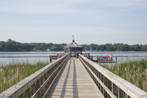 A serene view of a wooden pier extending over calm waters, surrounded by lush greenery.