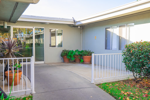 A welcoming entrance to a modern home, surrounded by greenery.