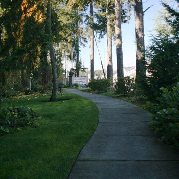 A peaceful pathway lined with tall trees and lush greenery.