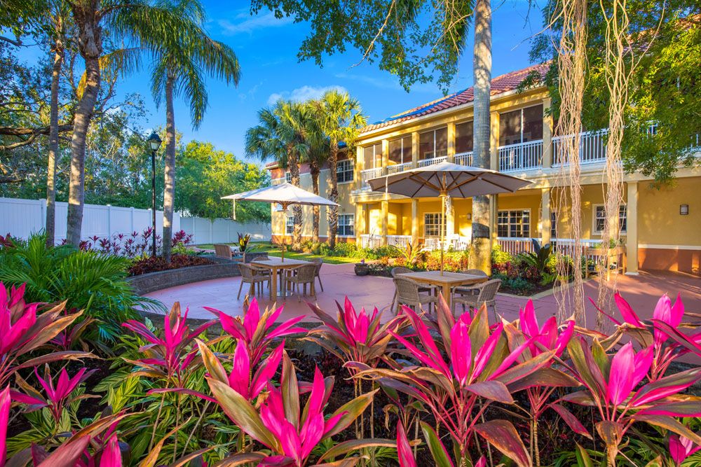 A beautiful tropical house with a lush garden and spacious patio.