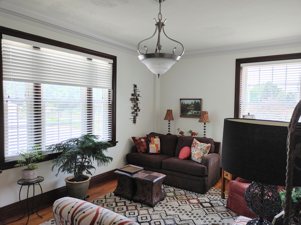 A cozy living room with a sofa, decorative pillows, and an indoor plant.