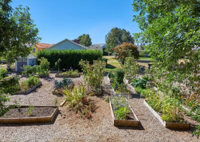 A well-maintained garden with raised vegetable beds and surrounding greenery.