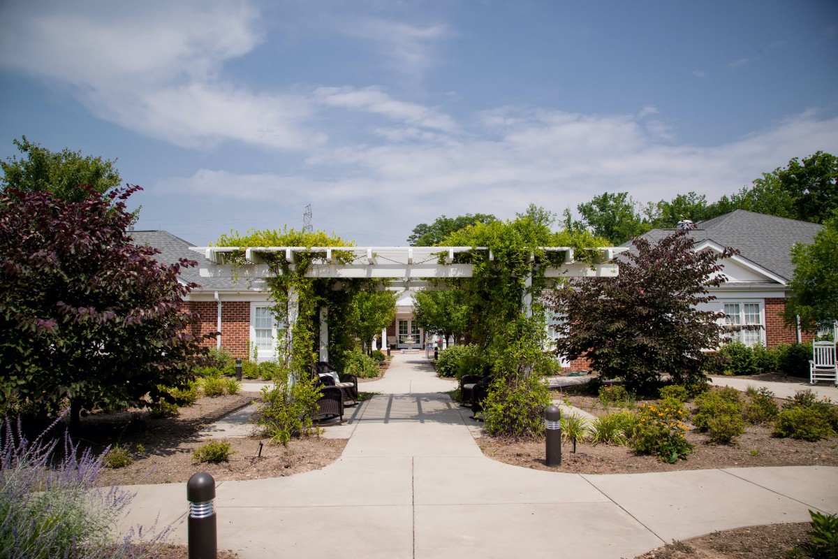 A picturesque garden pathway with lush greenery and a pergola under a clear blue sky.