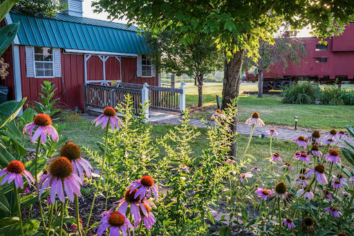 A serene view of a garden with blooming flowers in front of a quaint cabin, surrounded by lush greenery.