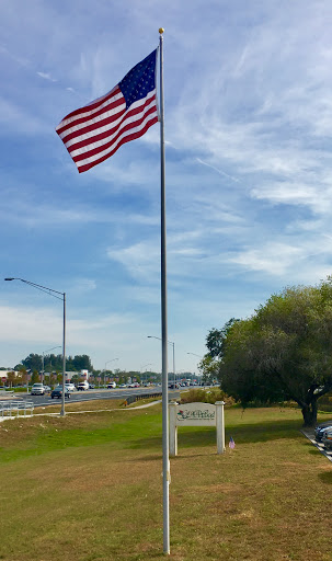 An American flag waving proudly on a flagpole beside a serene landscape.