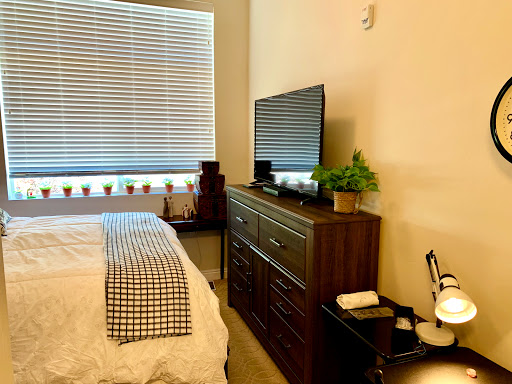 A cozy bedroom featuring a sleek dresser and a television, illuminated by natural light filtering through the blinds.