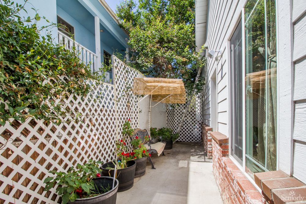 A cozy courtyard with potted plants and lattice fencing.