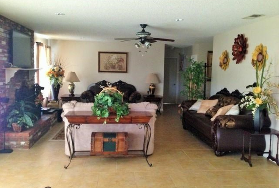 A cozy living room with sofas, lamps, a coffee table, and indoor plants.
