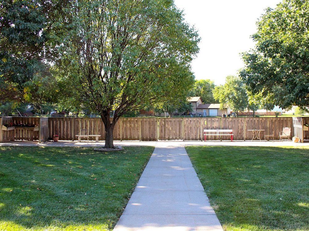 A backyard with a tree, fence, and concrete sidewalk surrounded by grass.